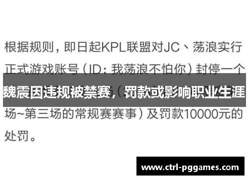 魏震因违规被禁赛，罚款或影响职业生涯